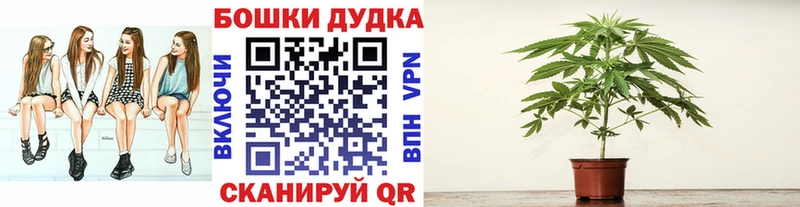 где купить наркотик  Лахденпохья  Шишки марихуана Bruce Banner 